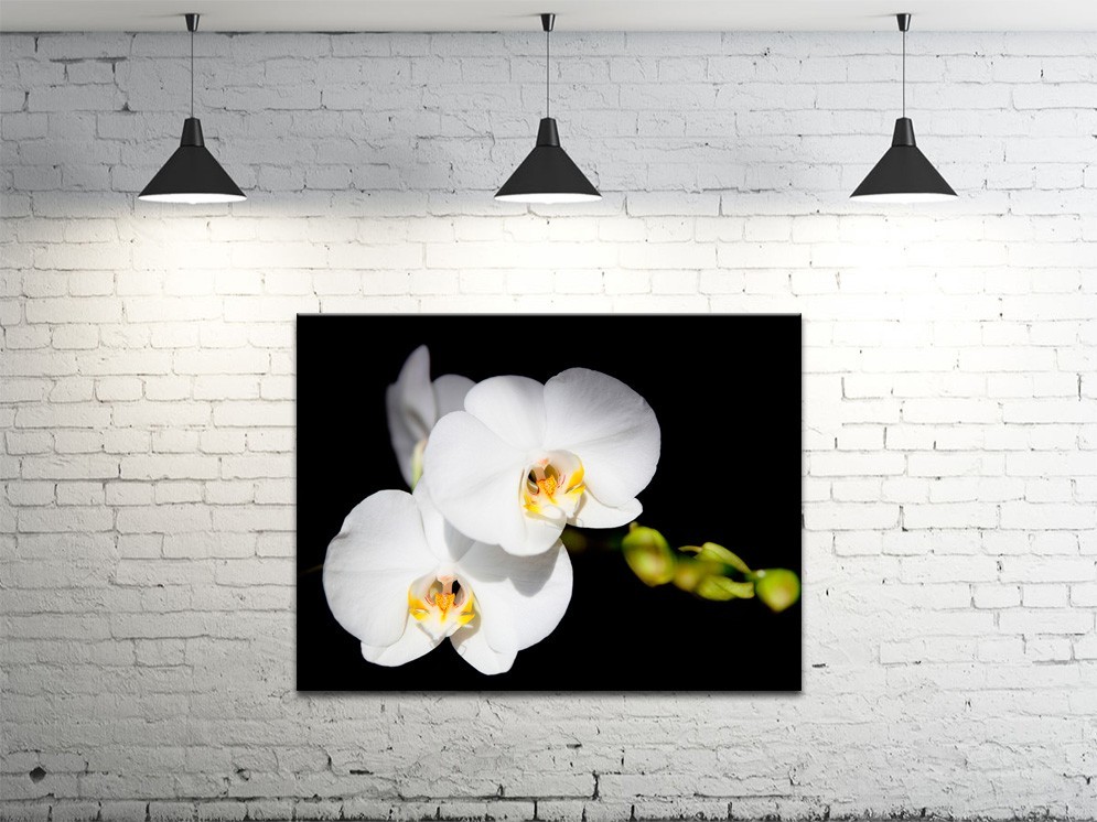 Картина на полотні ProfART S4560-c378 60 x 45 см Квіти (hub_RDgD31929)