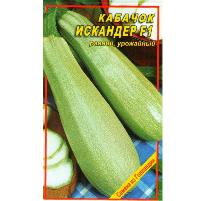 Семена кабачка Seminis Искандер F1 5 шт (1137297620)