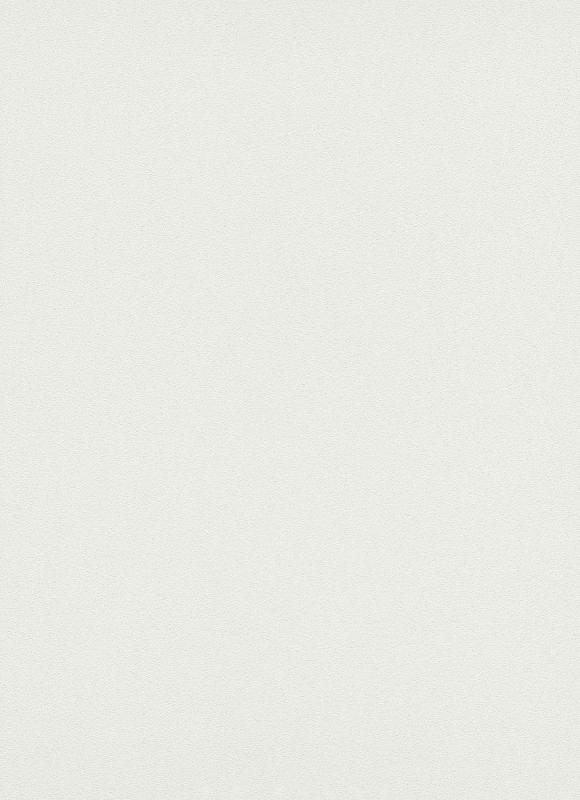 Виниловые обои на флизелиновой основе  Erismann Brilliant Colours 02403-30 Белые