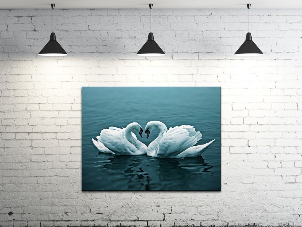 Картина на полотні ProfART S4560-z171 60 x 45 см Лебеді (hub_cryG57029)