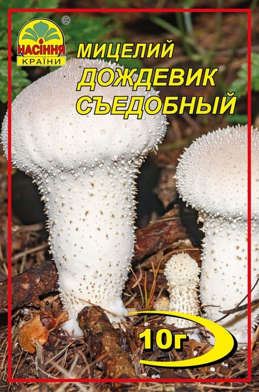 Міцелій грибів Насіння країни Дощовик їстівний 10 г