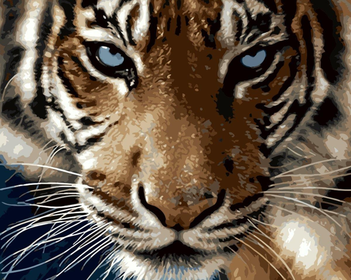 Картина за номерами BrushMe "Погляд тигра" 40х50см GX8767