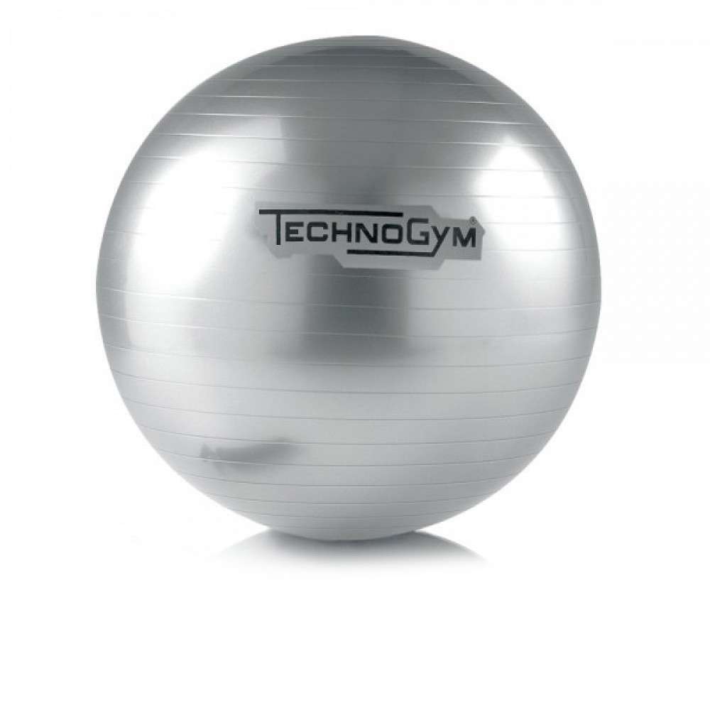 Гімнастичний м'яч TechnoGym 65 см Silver (NABQVCEQ)