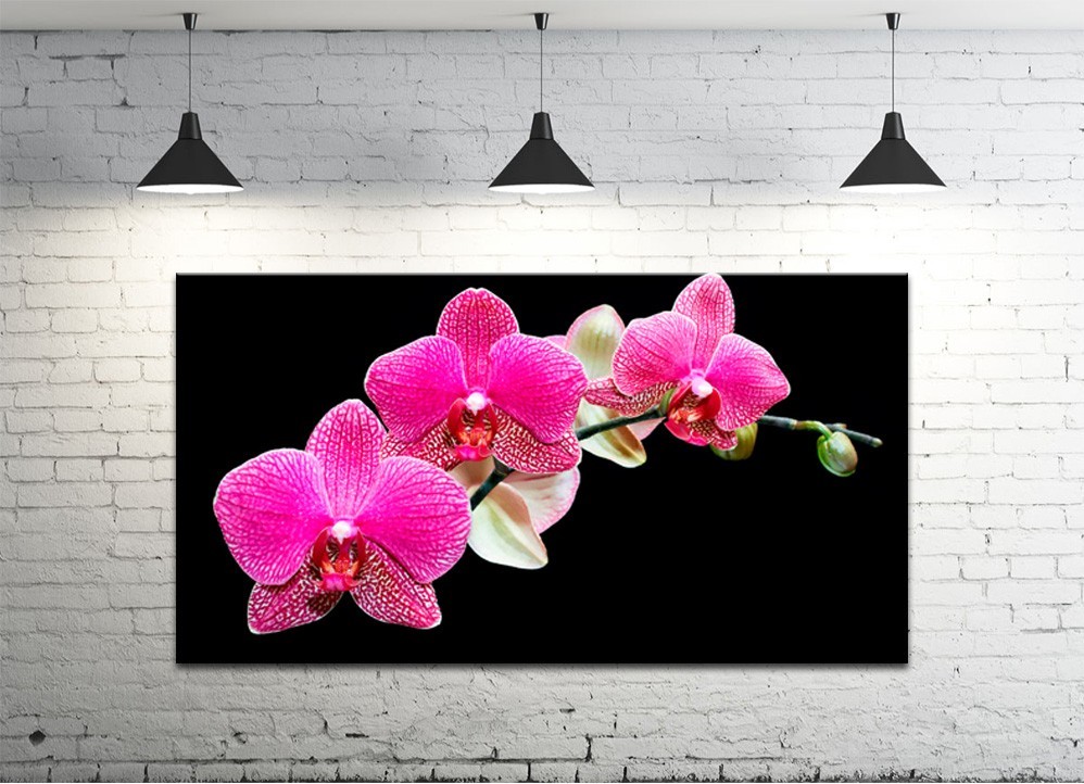 Картина на полотні ProfART S50100-c5 100 x 50 см Квіти (hub_oXNn18576)