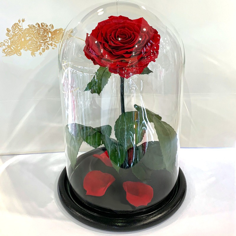 Троянда у колбі велика під скляним куполом барвиста квітка оригінальний подарунок дівчині Червона