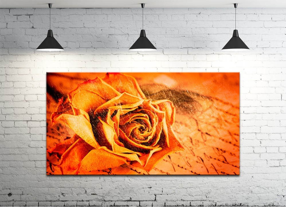 Картина на полотні ProfART S50100-c31 100 x 50 см Троянда (hub_Fbyn18593)