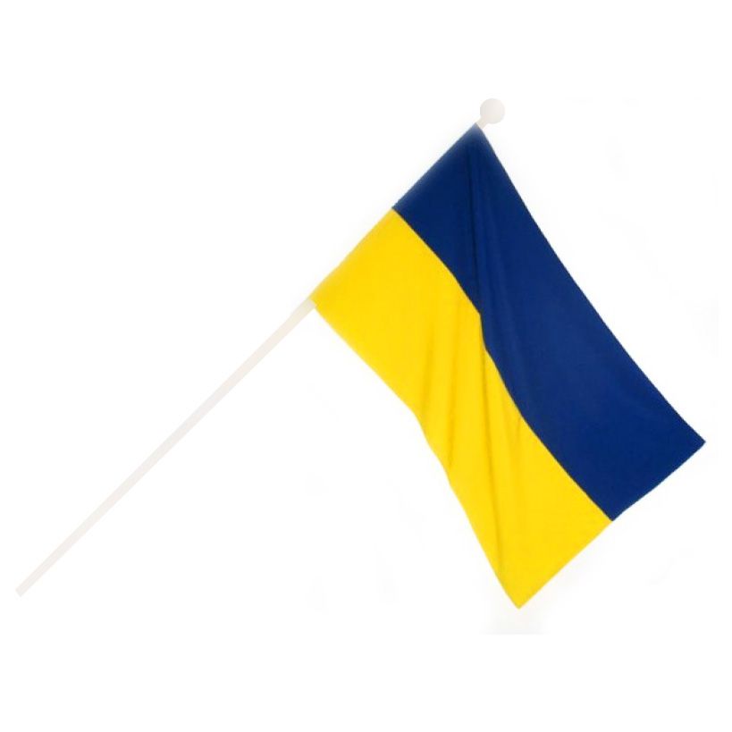 Флаг Украины MiC 60х90 см (fua01)