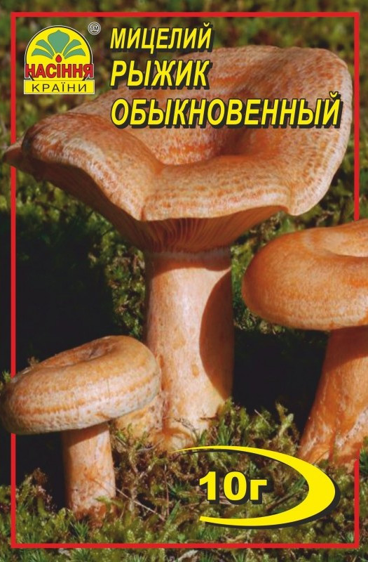 Міцелій грибів Насіння країни Рижик 10 г