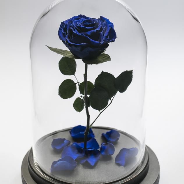 Стабілізована троянда Rose Ecuador Синя (28 см) (Roze_B)