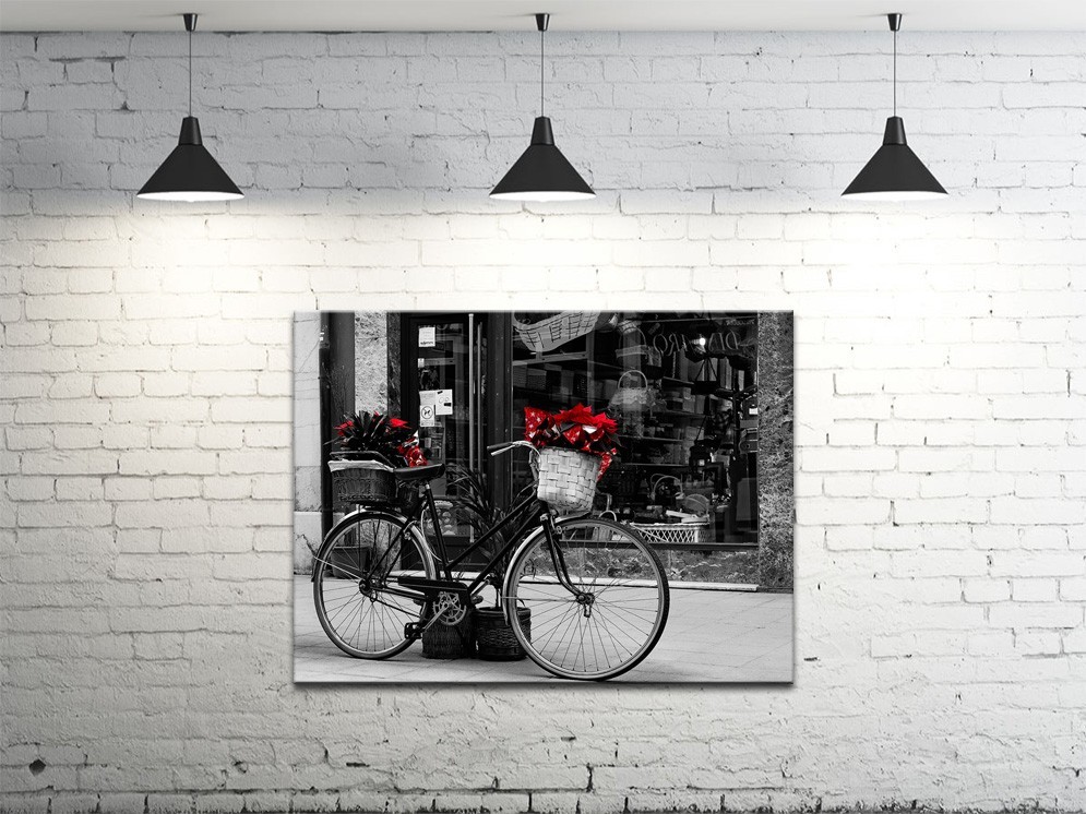 Картина на полотні ProfART S4560-g159 60 x 45 см Велосипед (hub_lkgC22313)