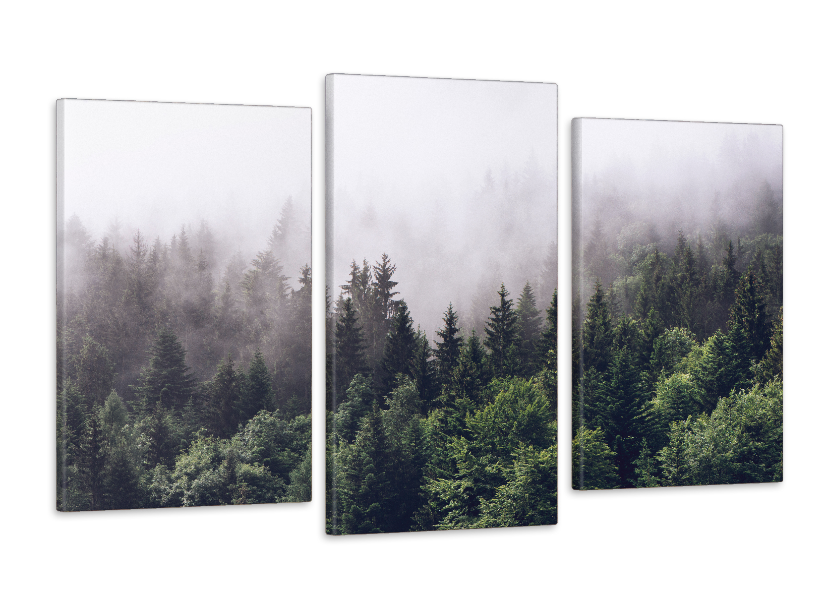 Модульная картина Poster-land Природа Туманный Лес 53x100см Арт-514_3