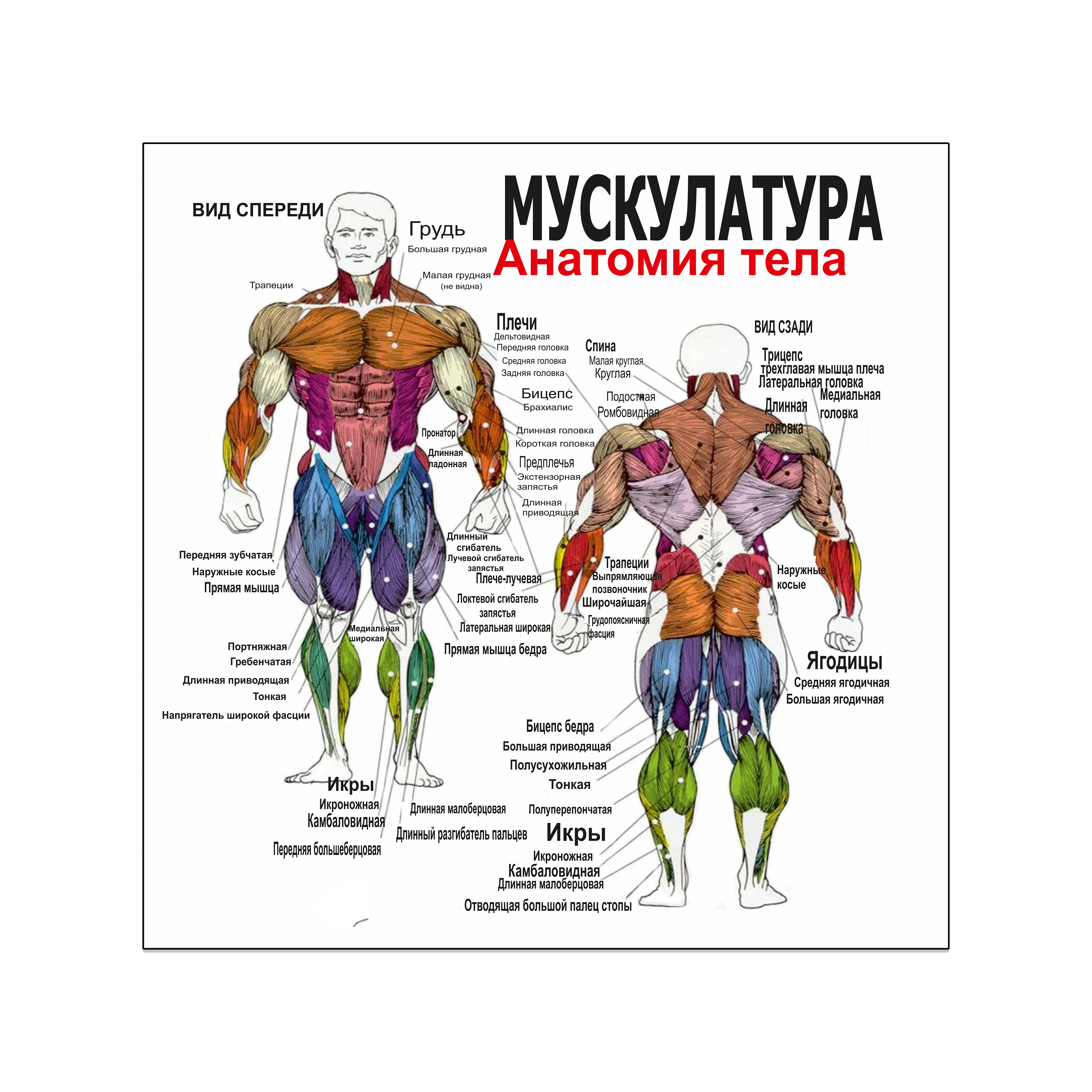 Зображення товару